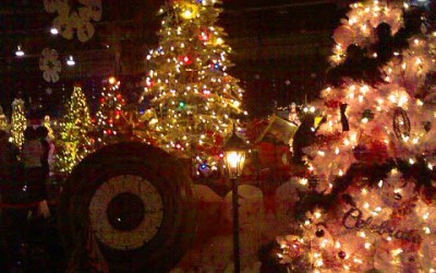 Volunteers, Dinner and Christmas Trees