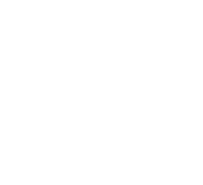 icon-Talking2Wht Chatting