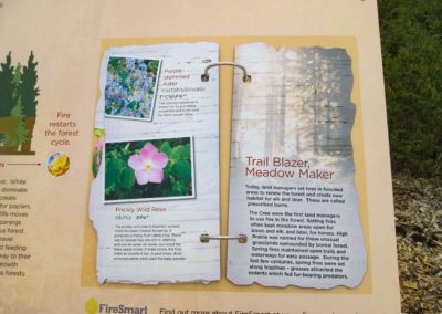 Firesmart Interpretive Walk