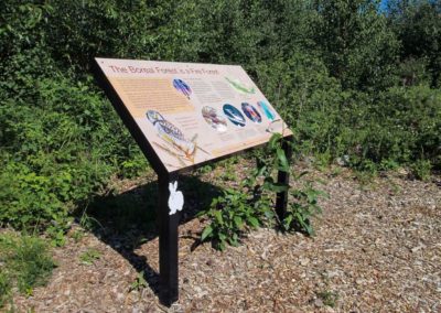 Firesmart Interpretive Walk