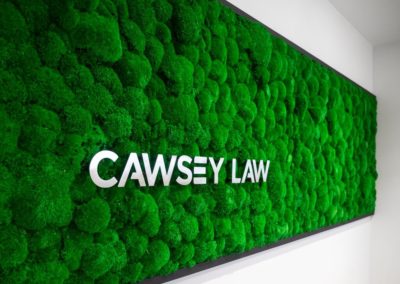 commercial photograph of a moss wall at the cawsey law office