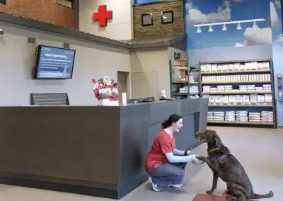 Dog + Cat Hospital interior photo